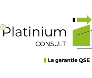 Logo Platinium Consult